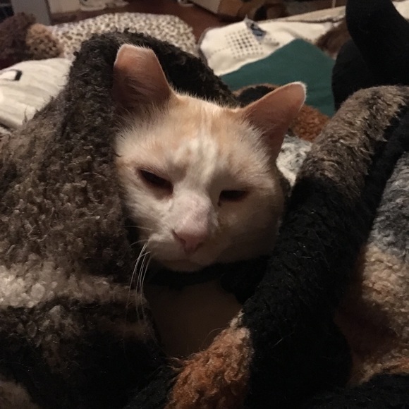 Currently on break from poshmark 🙄👍🏻 - Picture 5 of 8